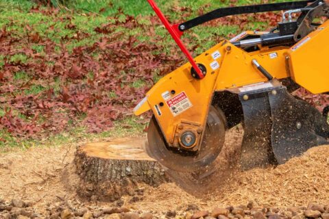 Tree Stump Grinding Services Lincolnshire