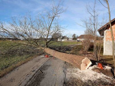 Site clearance services Spalding