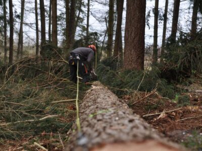 Site clearance services Grantham