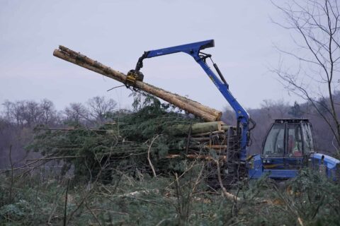 Cleethorpes Emergency Site Clearance Services